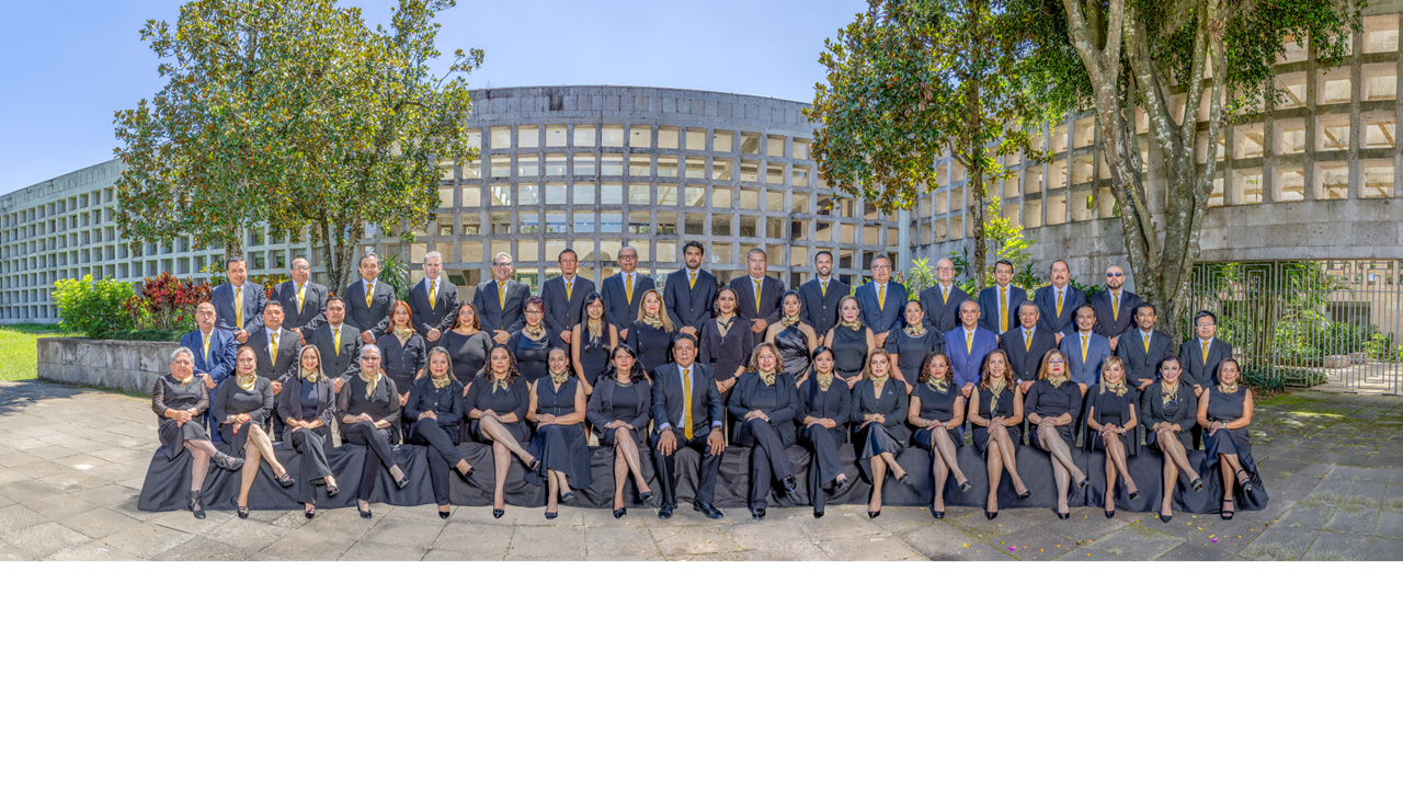 Docentes expertos